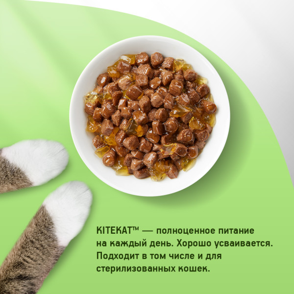

Влажный корм Kitekat для взрослых кошек говядина в соусе Сочная говядина 85 г дизайн упаковки в ассортименте