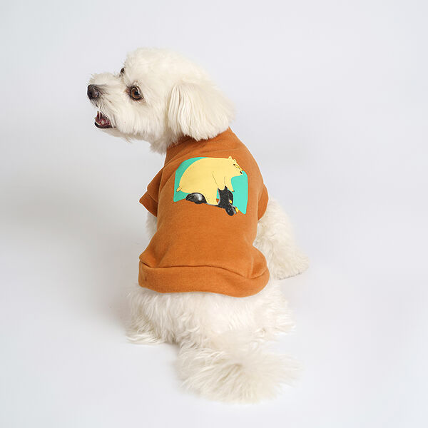 Толстовка Petmax с медведем коричневая S