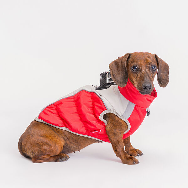 Куртка Petmax на замке для собак S красная