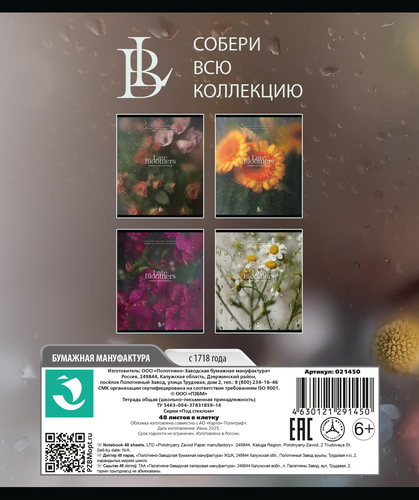 

Тетрадь общая ПЗБМ Под стеклом 48 л клетка скрепка А5 1 шт. в ассортименте