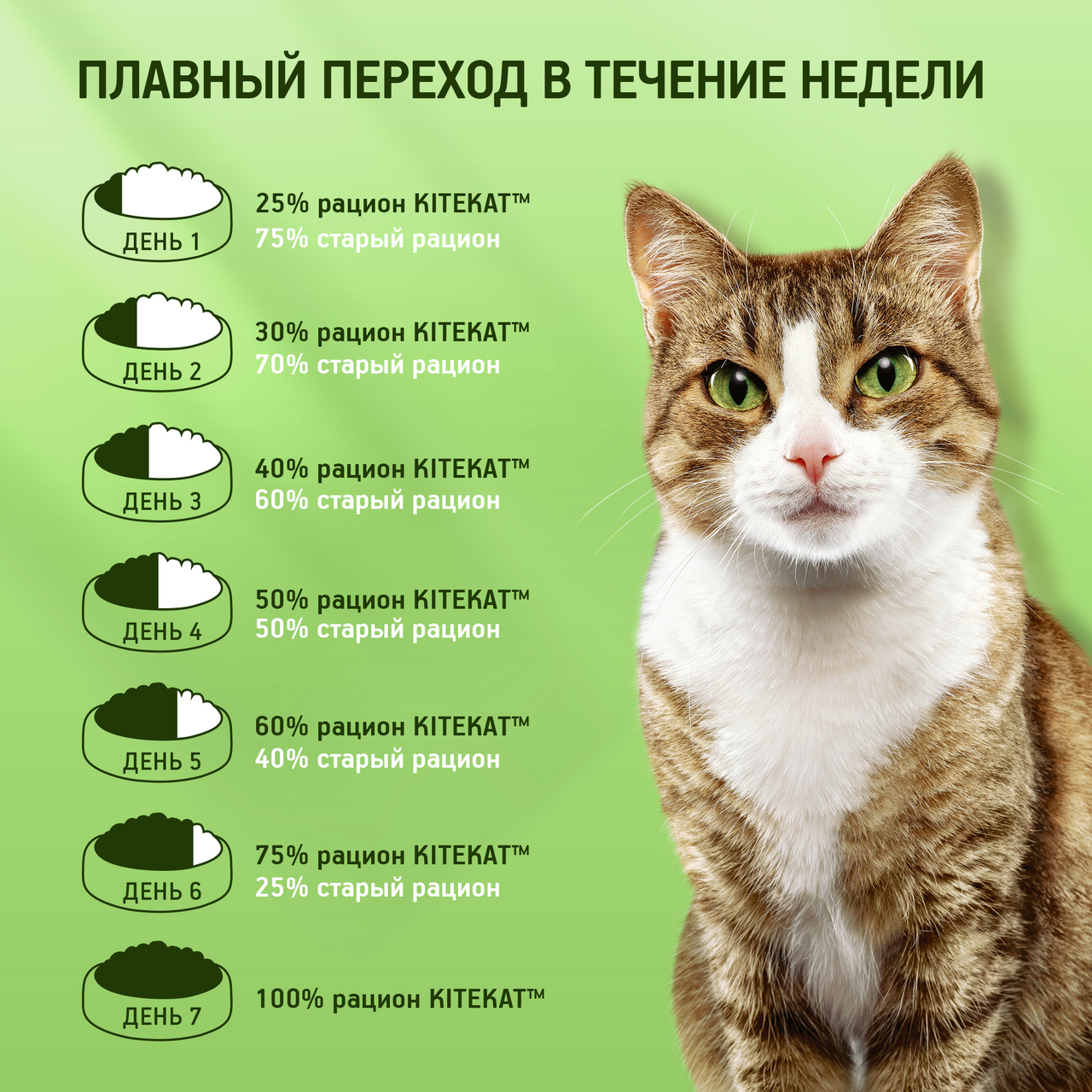 

Корм сухой для кошек Kitekat Мясной пир 1.3 кг