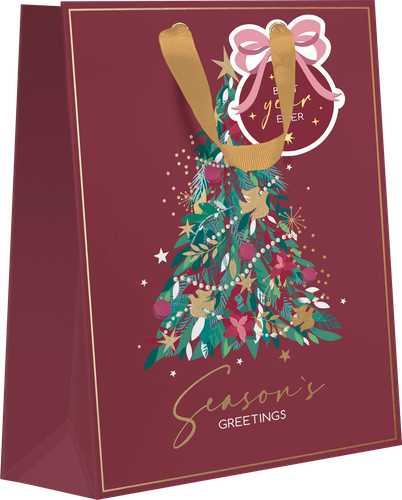 

Пакет подарочный City Home Trade X-Mas Academy 23 х 19 х 9 см дизайн в ассортименте