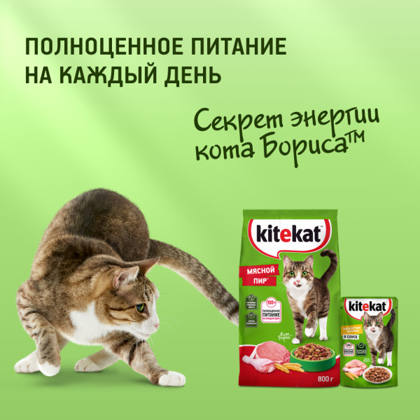 

Влажный корм Kitekat для взрослых кошек говядина в соусе Сочная говядина 85 г