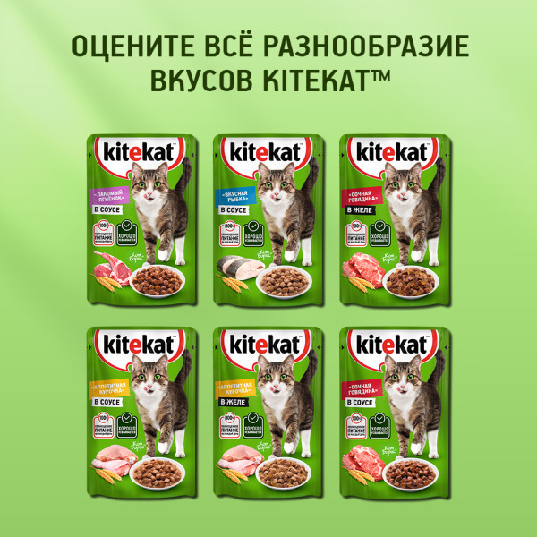 

Влажный корм для кошек Kitekat Сочная говядина в желе 85 г