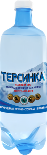 

Вода Терсинка скважина №1142 минеральная природная лечебно-столовая газированная 1 л