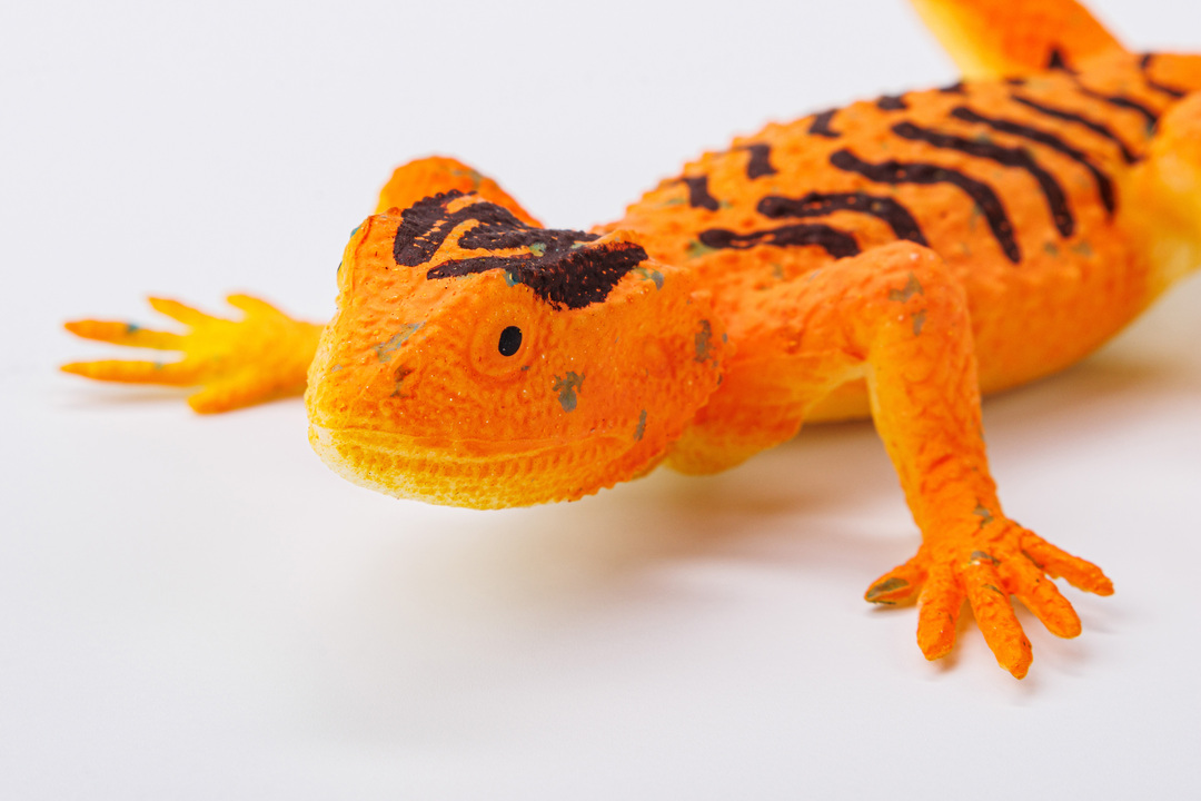 

Игрушка-антистресс Наша игрушка Reptile Ящерица 1 шт в ассортименте