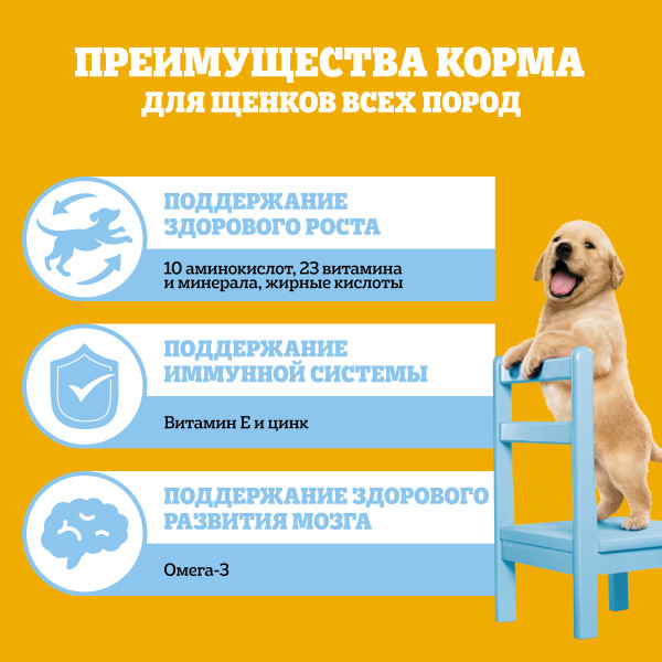 

Сухой корм Pedigree для щенков всех пород от 2 месяцев с курицей 500 г