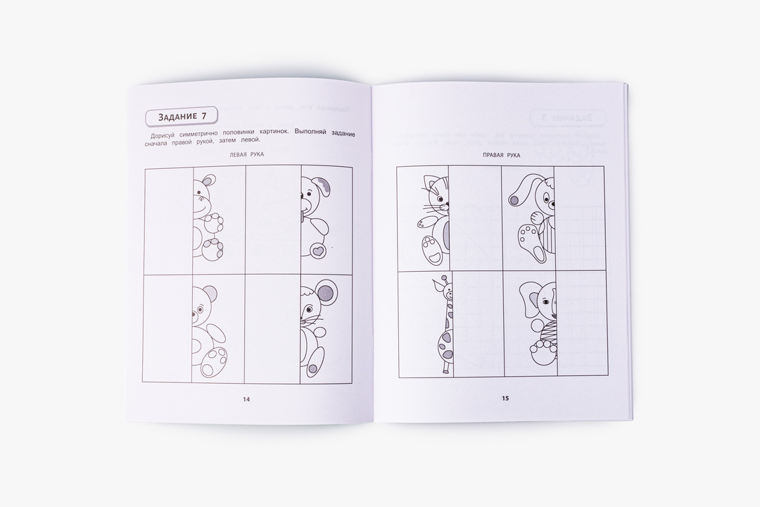 

Пособие для развития Правая, левая, вместе! Межполушарное взаимодействие: рисуем симметрично. Гусева Евгения Олеговна