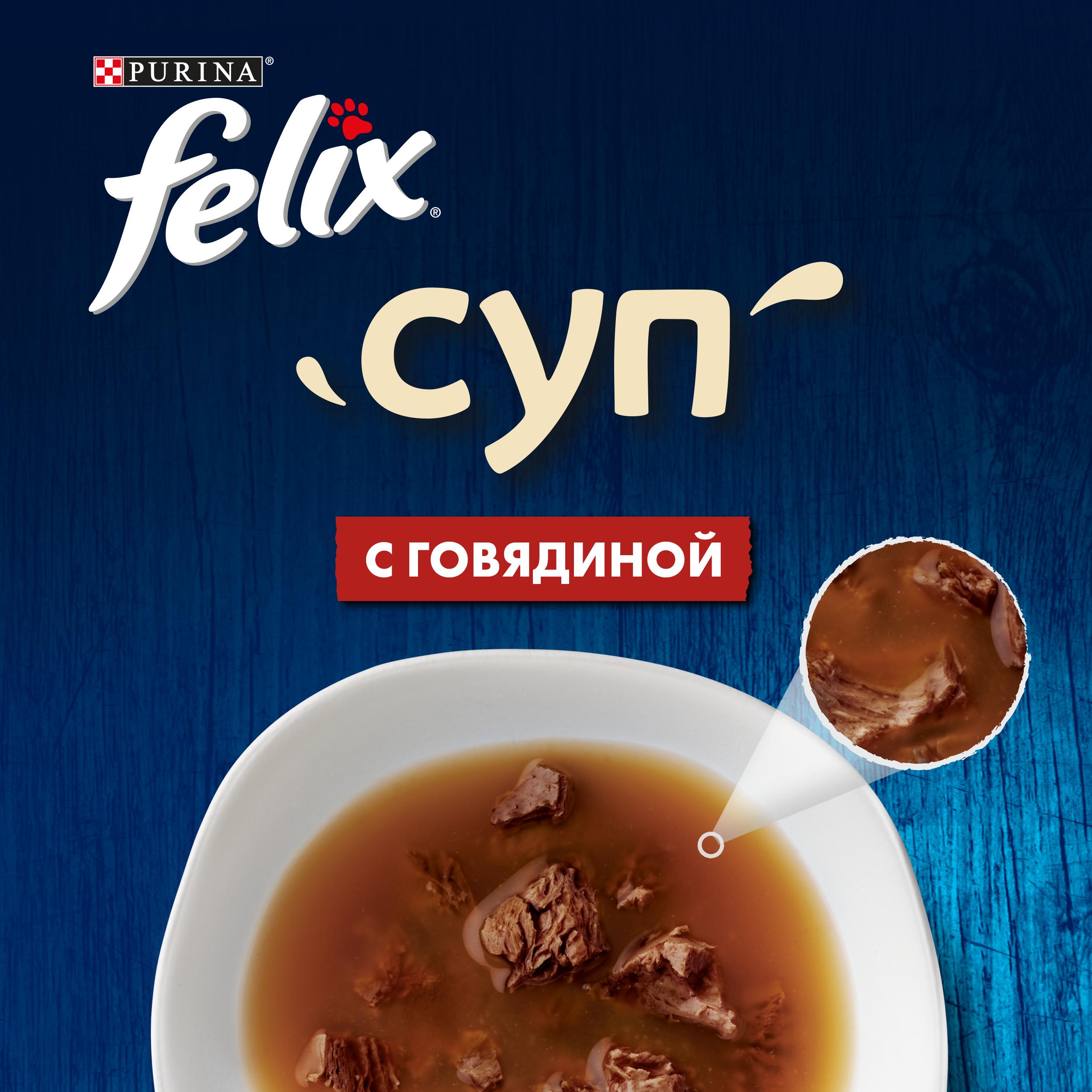 

Влажный корм Felix Суп для взрослых кошек, с говядиной, пауч 48 г