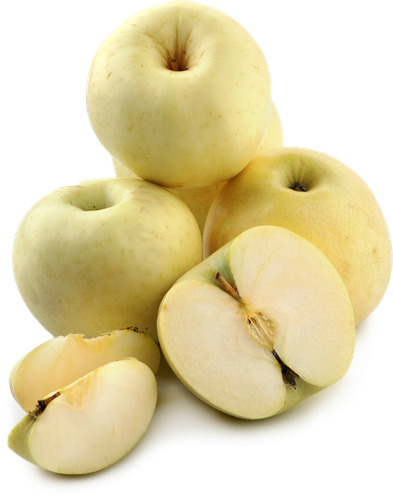 

Яблоки Белый рубин весовые