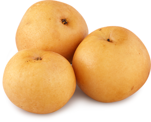 

Груша Китайская весовая