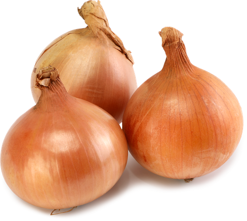 

Лук репчатый вес