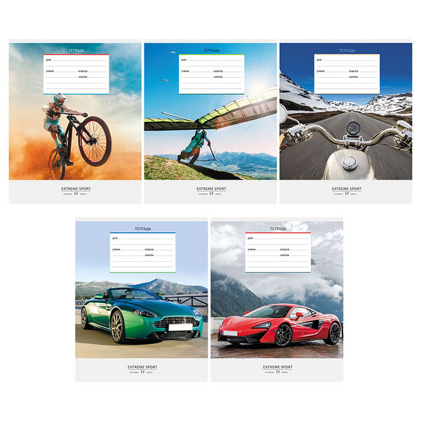 Тетрадь клетка BG Спорт 12 листов в ассортименте 
