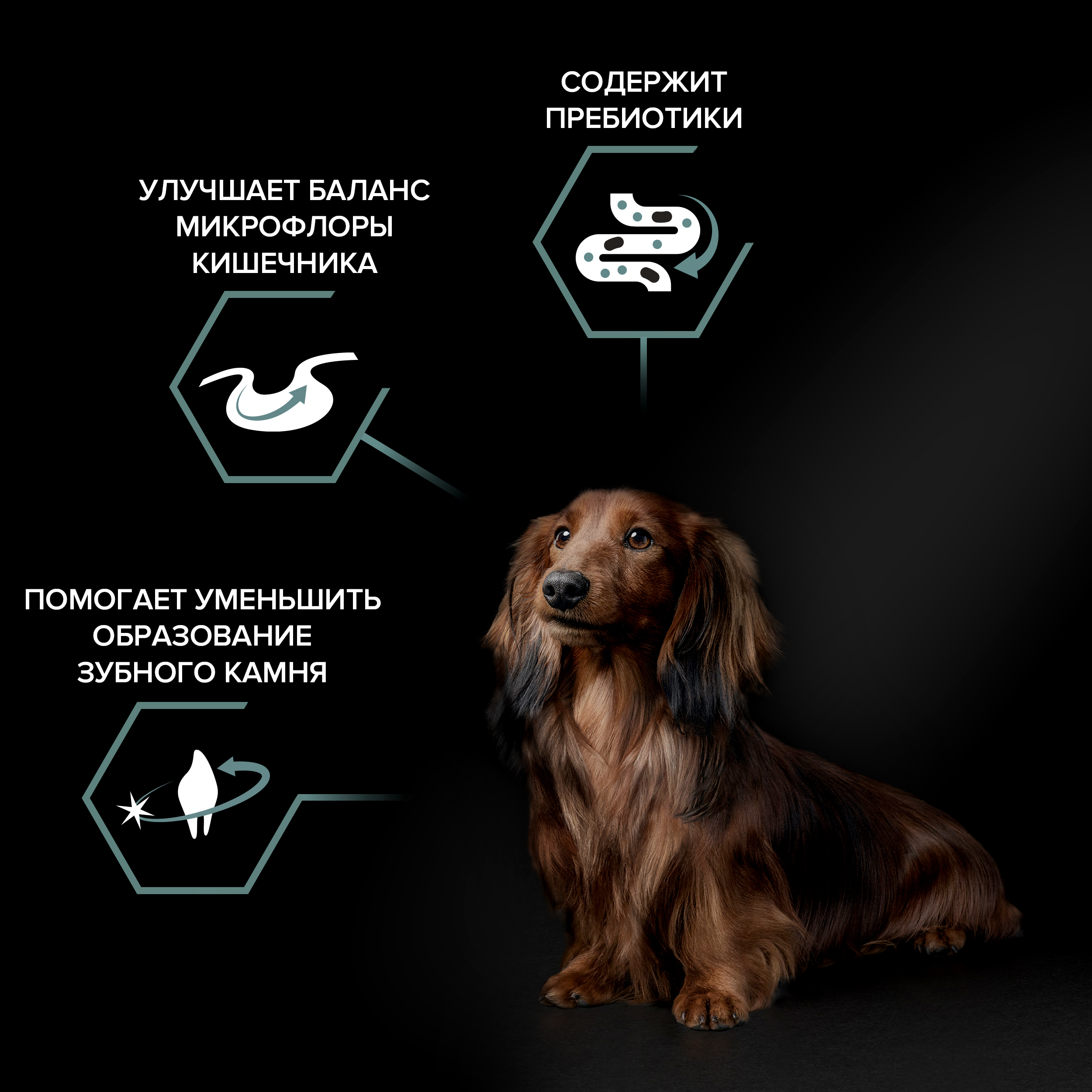 

Сухой корм Pro Plan Sensitive Digestion для взрослых собак мелких и карликовых пород с чувствительным пищеварением с высоким содержанием ягненка 700 г