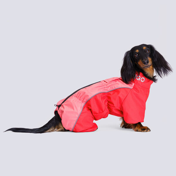 Дождевик для собак Rungo породы такса карликовая, обхват шеи 32 см, обхват груди 53 см, длина спины 34 см, морковь (девочка)