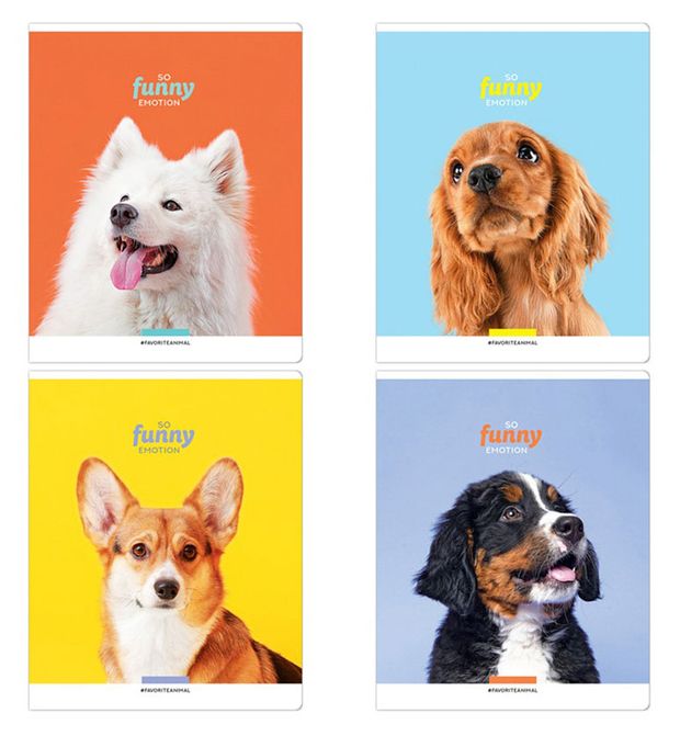 

Тетрадь Artspace питомцы So funny, 48 листов в клетку А5, ассорти