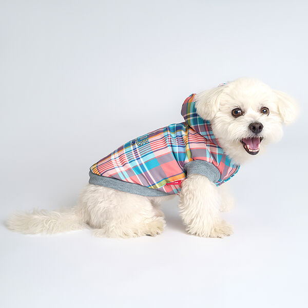 Куртка с капюшоном в клетку для собак Petmax L разноцветная