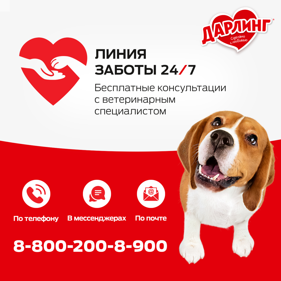 

Влажный корм Дарлинг для взрослых собак кусочки с телятиной в подливе 75 г