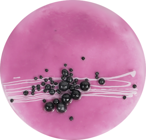 

Торт Маленькие слабости Черника в шоколаде 600 г