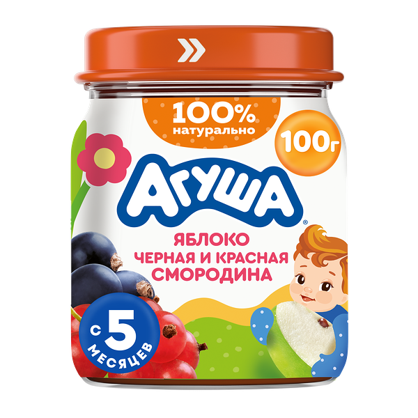 Пюре фруктовое детское Агуша Черная Смородина-Красная Смородина с 5 месяцев 100 г
