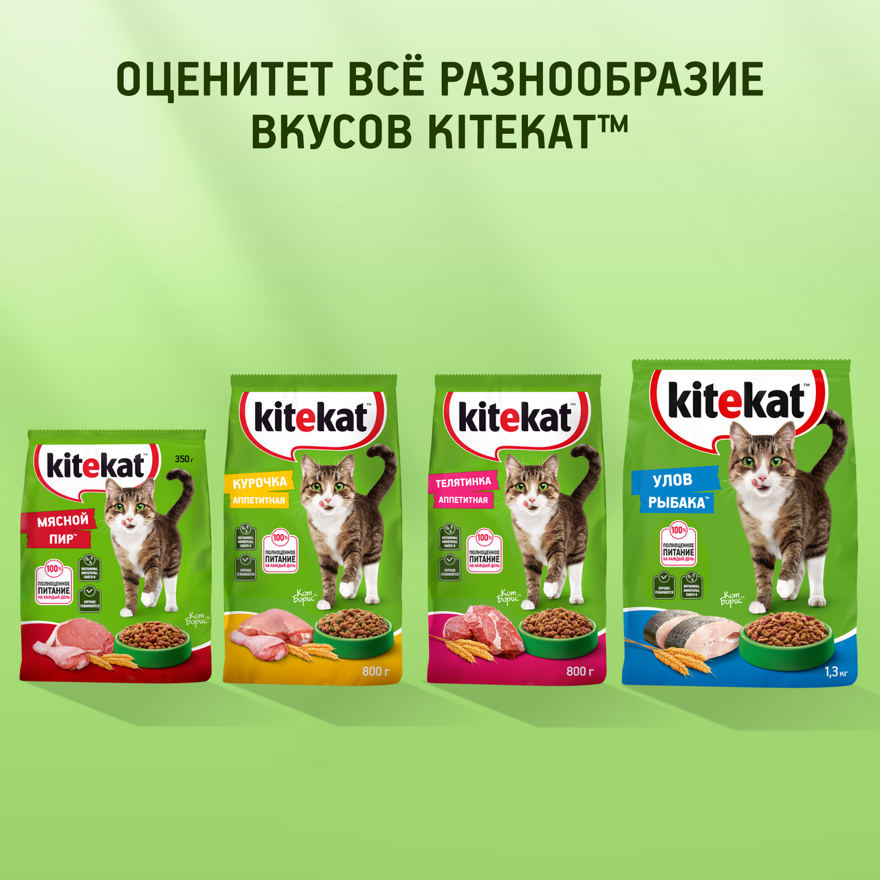 

Корм сухой для кошек Kitekat Телятинка Аппетитная 1.3 кг