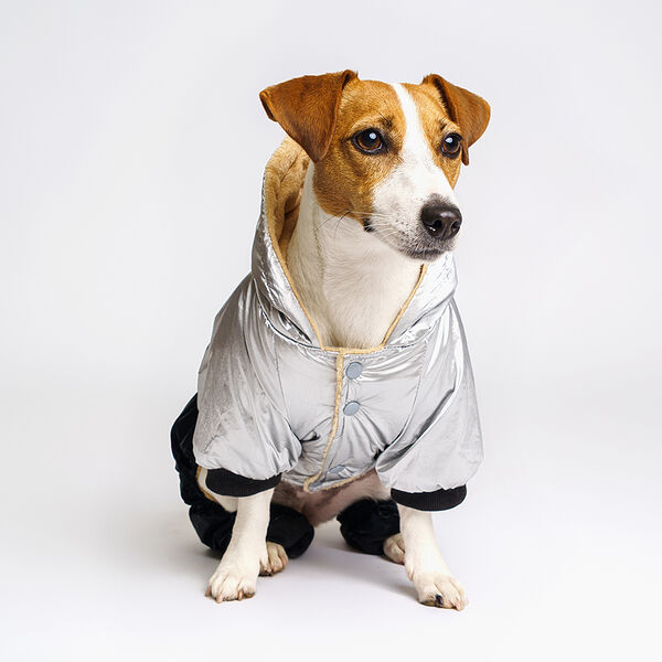 Комбинезон Rurri для собак XXL серебряно-черный