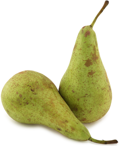 

Груши для варенья весовые