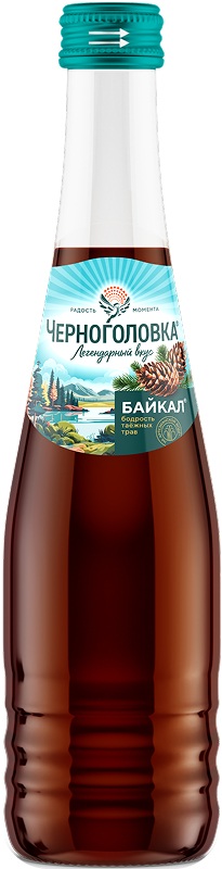 

Напиток газированный Черноголовка Байкал 0.33 л