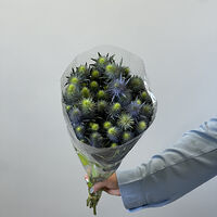 Изображение 5