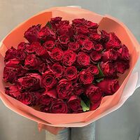 Изображение 8