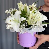 Изображение 2