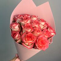 Изображение 3