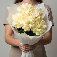 Изображение 2