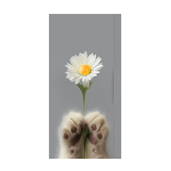 

Конверт для денег Лакарт арт. 12454 9 x 18.5 см