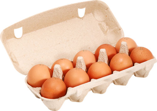 

Яйцо куриное Лента Fresh Яркий желток С0, 10 шт. 743 г