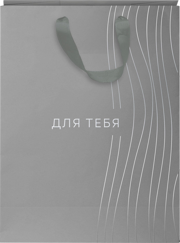 

Пакет подарочный City Home Trade Basic Men 25.5 х 31.5 х 11 см эффект 1 шт.