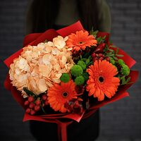 Изображение 5