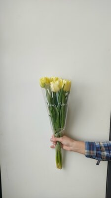 5 пионовидных жёлтых тюльпанов
