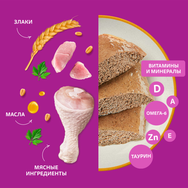 

Влажный корм для кошек Whiskas 1+ от года паштет с курицей и индейкой 75 г