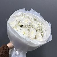 Изображение 8