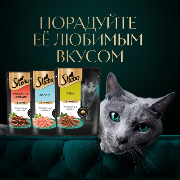 

Влажный корм для кошек Sheba Ломтики в соусе с уткой 75 г