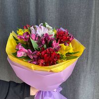 Изображение 2