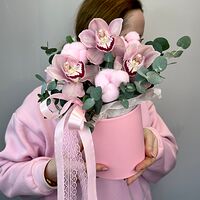 Изображение 5