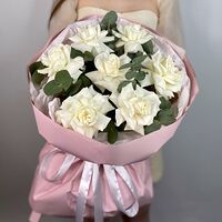 Изображение 3
