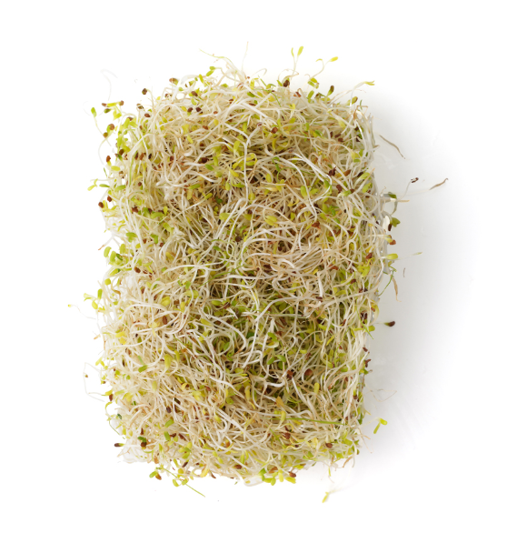 

Проростки Люцерна 50 г