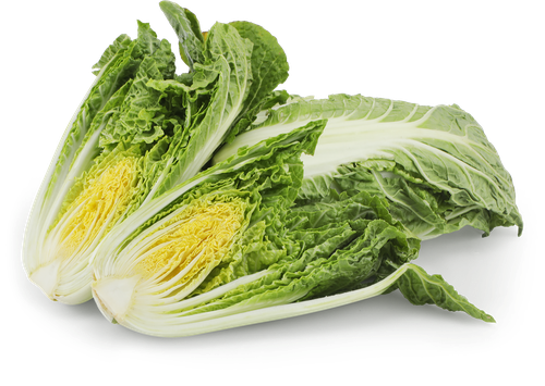 

Капуста китайская 600 г