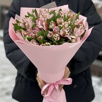 Изображение 5