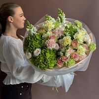 Изображение 3