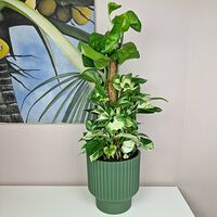 Изображение 3