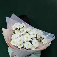 Изображение 8